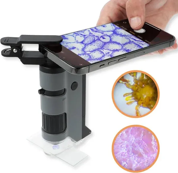 MicroFlip 100x-250 LED & UV Lighted Pocket Microscope,Carson