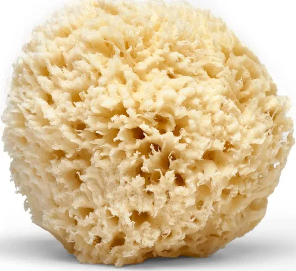 Natural Sea Wool Sponge