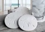 Sand Dollar Drink Coasters