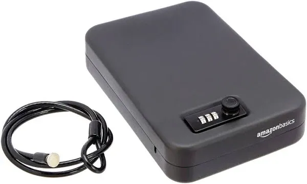 Basics Portable Security Case Lock Box Safe