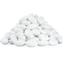 Jordan Almonds | Bright White Candy Almonds | Premium Roasted Almonds with a ...