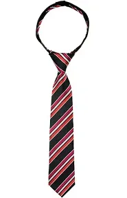 Spring Notion Boys' Pre-Tied Woven Zipper Tie