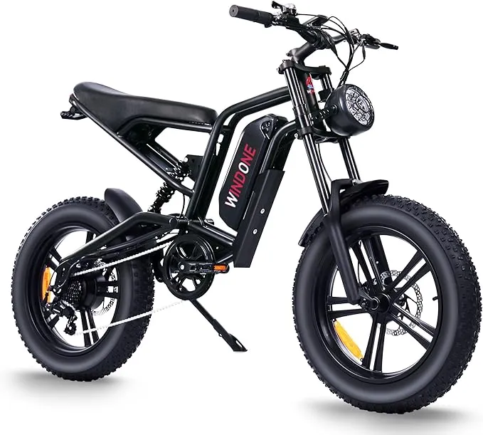 Windone E2 Electric Bike for Adults,750W Ebike with 48V13AH Removable Battery,All-Terrain 20" Fat Tire Electric Bikes Up to 28MPH & 46.6Miles,Full