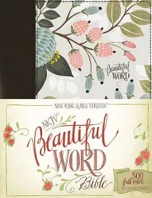 Beautiful Word Bible: 500 Full-Color Illustrated Verses [Book]