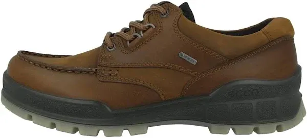 Ecco Men's Track 25