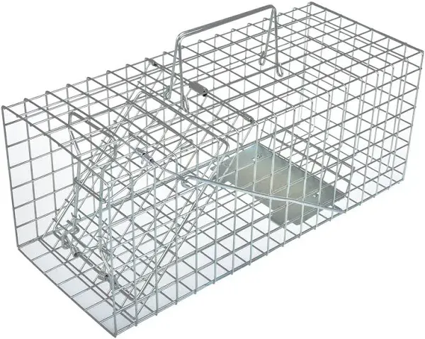 Live Squirrel Trap Heavy Duty Humane Animal Cage Trap for Indoors and Outdoors