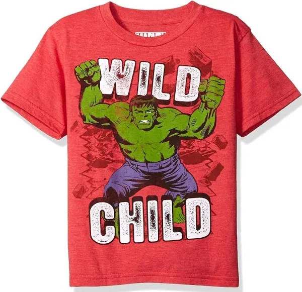 Marvel Little Boys' the Incredible Hulk T-Shirt