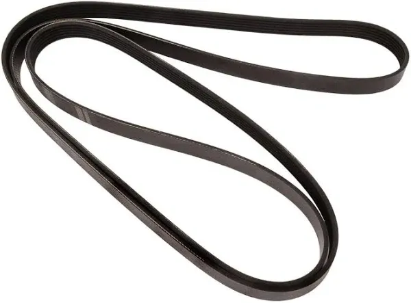 Continental Serpentine Belt 4060495