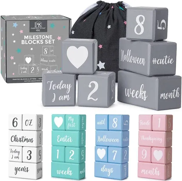 Gray Monthly Milestone Blocks with Bag. Baby Age Blocks for Girl or Boy Baby ...