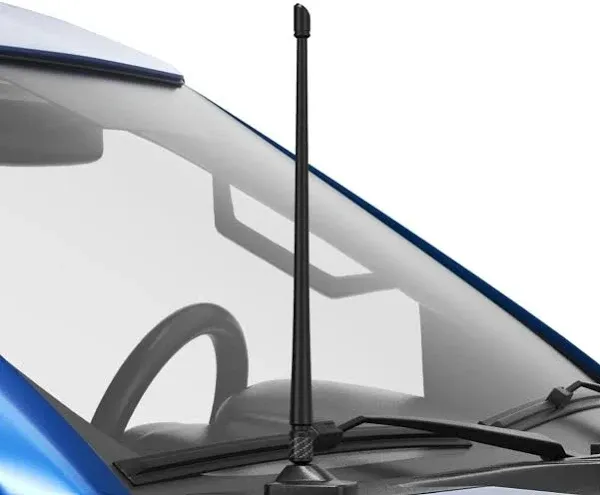 RYDONAIR Antenna Compatible with Ford F150 2009-2024 | 13 inches Black 