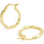 Twisted Hoop Earrings (Small)