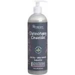 Renpure Detoxifying Charcoal Clarify + Deep Cleanse Shampoo - 16 fl oz