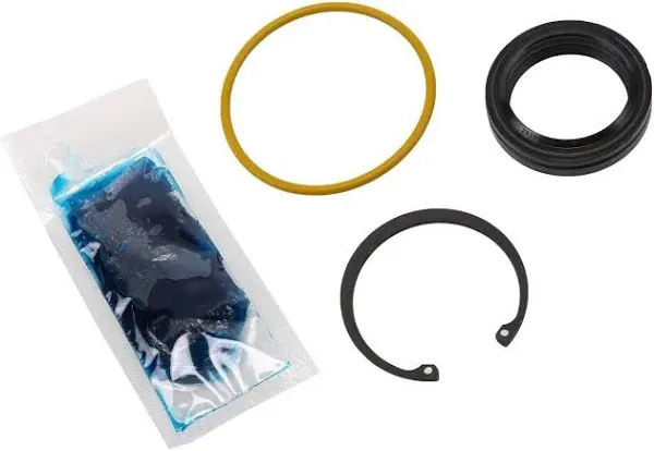 GM Genuine Parts Steering Gear Pitman Shaft Seal Kit