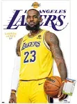 NBA Los Angeles Lakers - LeBron James Feature Series 23 Wall Poster, 22.375" x 34"