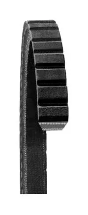 Dayco 15565 V-BELT, DAYCO