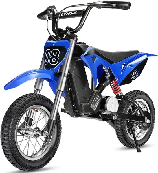 Evmore 36V 300W Electric Dirt Bike