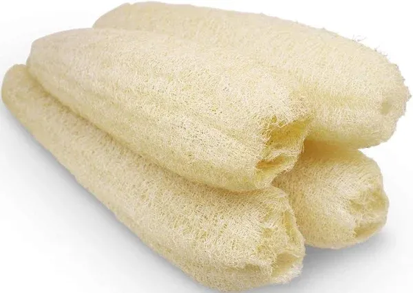 Natural Organic Loofah Sponges Large Exfoliating Shower Bath Loofah Luffa Loofa 