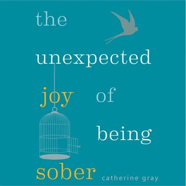 The Unexpected Joy of Being Sober - Audiobook