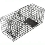 Live Animal Trap  Humane Animal  Trap for Indoors and Outdoors