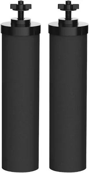 Nispira BB9 Water Filter Black Element Cartridge for Countertop Stainless Steel Water Purification SYSTEM. Pack of 2