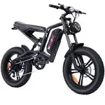 Windone E2 Electric Bike for Adults,750W Ebike with 48V13AH Removable Battery,All-Terrain 20" Fat Tire Electric Bikes Up to 28mph & 46.6Miles,Full