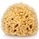 Sea Wool Natural Sponge