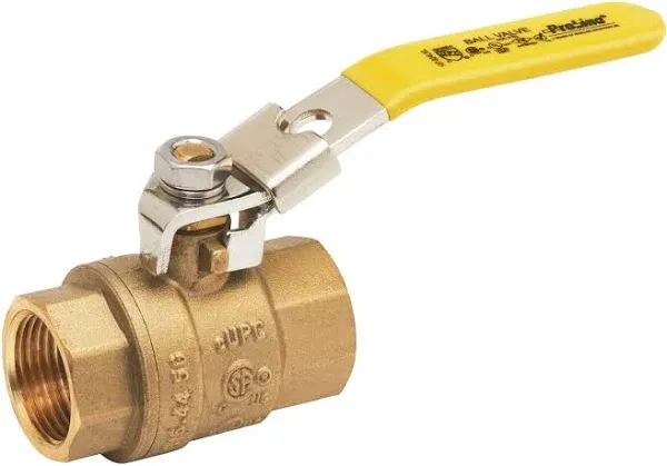 ProLine Full Port Ball Valve 107-824NL