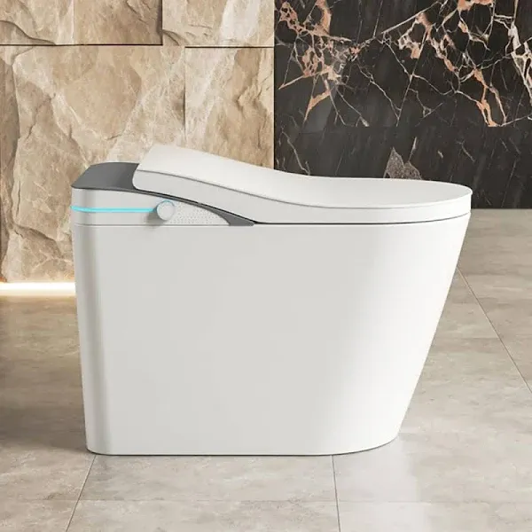 Smart Bidet Toilet, One Piece LED Toilet with Auto Flush LED Temp Display Dryer  | eBay