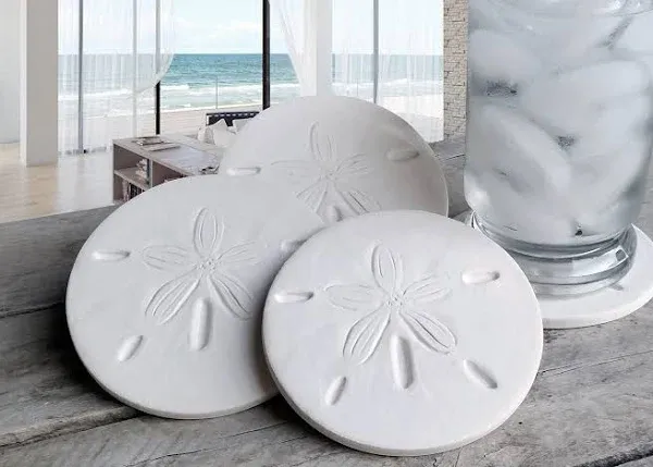 Sand Dollar Drink Coasters