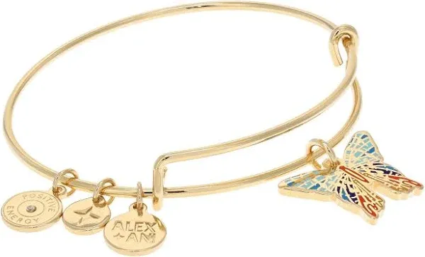 Gold Alex &amp; Ani Bracelet