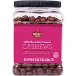 Wellsley Farms Milk Chocolate Covered Cashews 44 oz