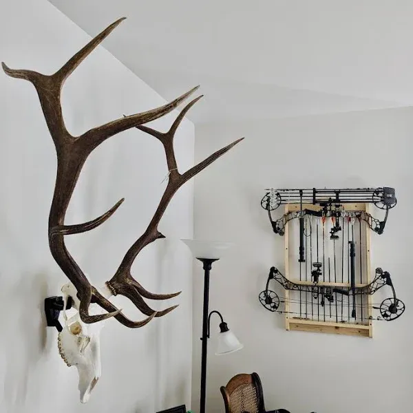 European Skull Mount Hangers for Elk