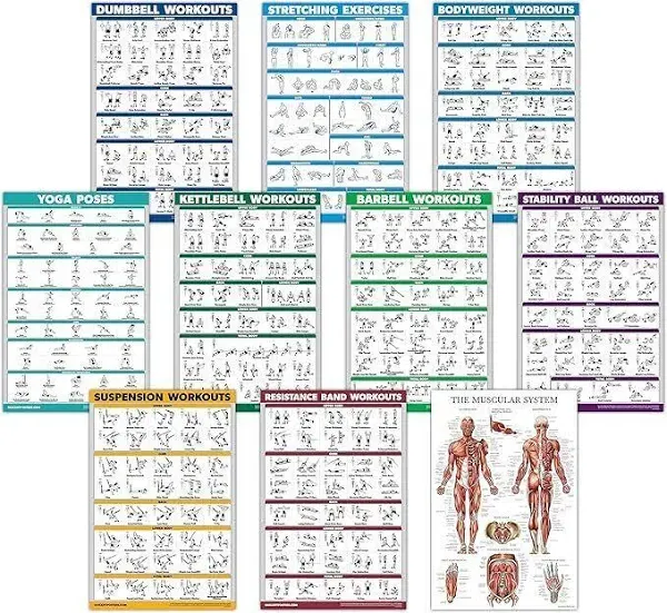 Palace Learning 10 Pack - Exercise Workout Poster Set - Dumbbell, Suspension, Kettlebell, Resistance Bands, Stretching, Bodyweight, Barbell, Yoga