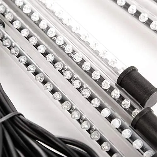 LED Interior Lighting System