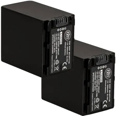 BM 2-Pack of Np-fv100 Batteries for Sony FDR-AX53 HDR-CX455 HDR-CX675 PJ260V Hdr-pj380 HDR-PJ430V Hdr-pj580v Hdr-pj650v Hdr-pj670 Hdr-pj710v