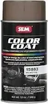 SEM Products 15883 - Color Coat Med Neutral