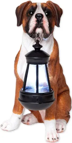 Bits and Pieces - Boxer Solar Lantern Statue - Solar Powered Garden Lantern Statue - Resin Dog Sculpture with LED Light - Outdoor Lighting and Décor