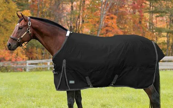 Rider's International Supreme Turnout Blanket