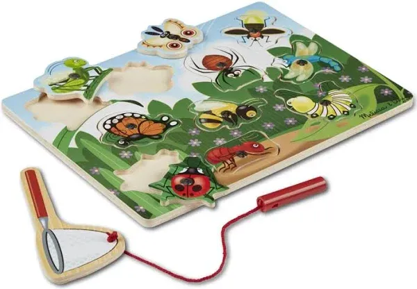 Bug Catching Magnetic Puzzle Game