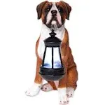 Bits and Pieces - Boxer Solar Lantern - Solar Powered Garden Lantern - Resin Dog Sculpture with LED Light - Outdoor Lighting