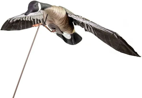 Higdon Clone Canada Goose Decoy