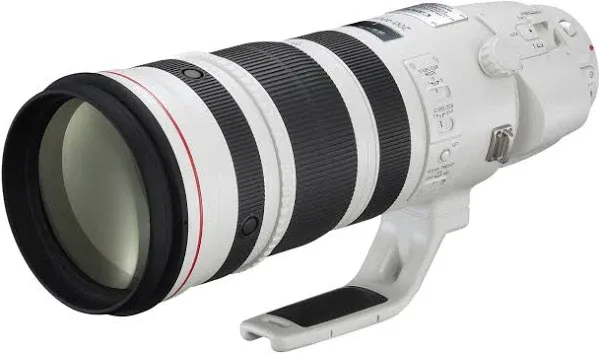 Canon EF 200-400mm f/4L IS USM Extender 1.4x Lens