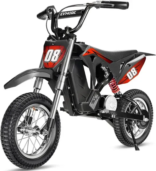 36V 350W Electric Dirt Bike