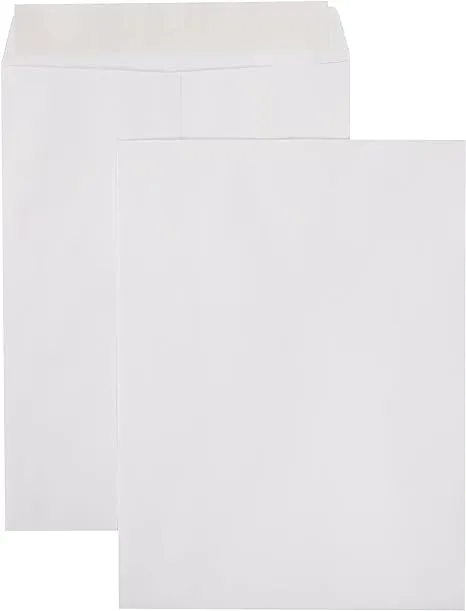 Amazonbasics Catalog Mailing Envelopes, Peel & Seal, 9x12 inch, White, 250-Pack - AMZA33