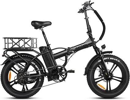 Rattan Foldable Step-Thru Ebike 48V 13Ah Removable Battery 2 Seater, with 2 Baskets