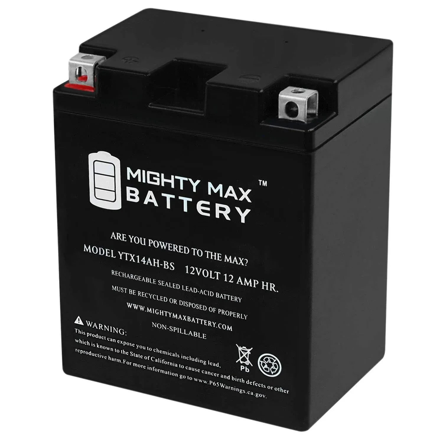 Mighty Max Battery YTX14AH-BS Battery for Yamaha YFM250 Bear Tracker 250cc 1999-2004 Brand Product