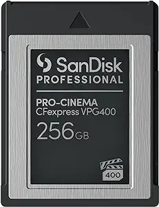 One 1 SanDisk Professional PRO-CINEMA 256GB CFexpress VPG400 Type-B Memory Card