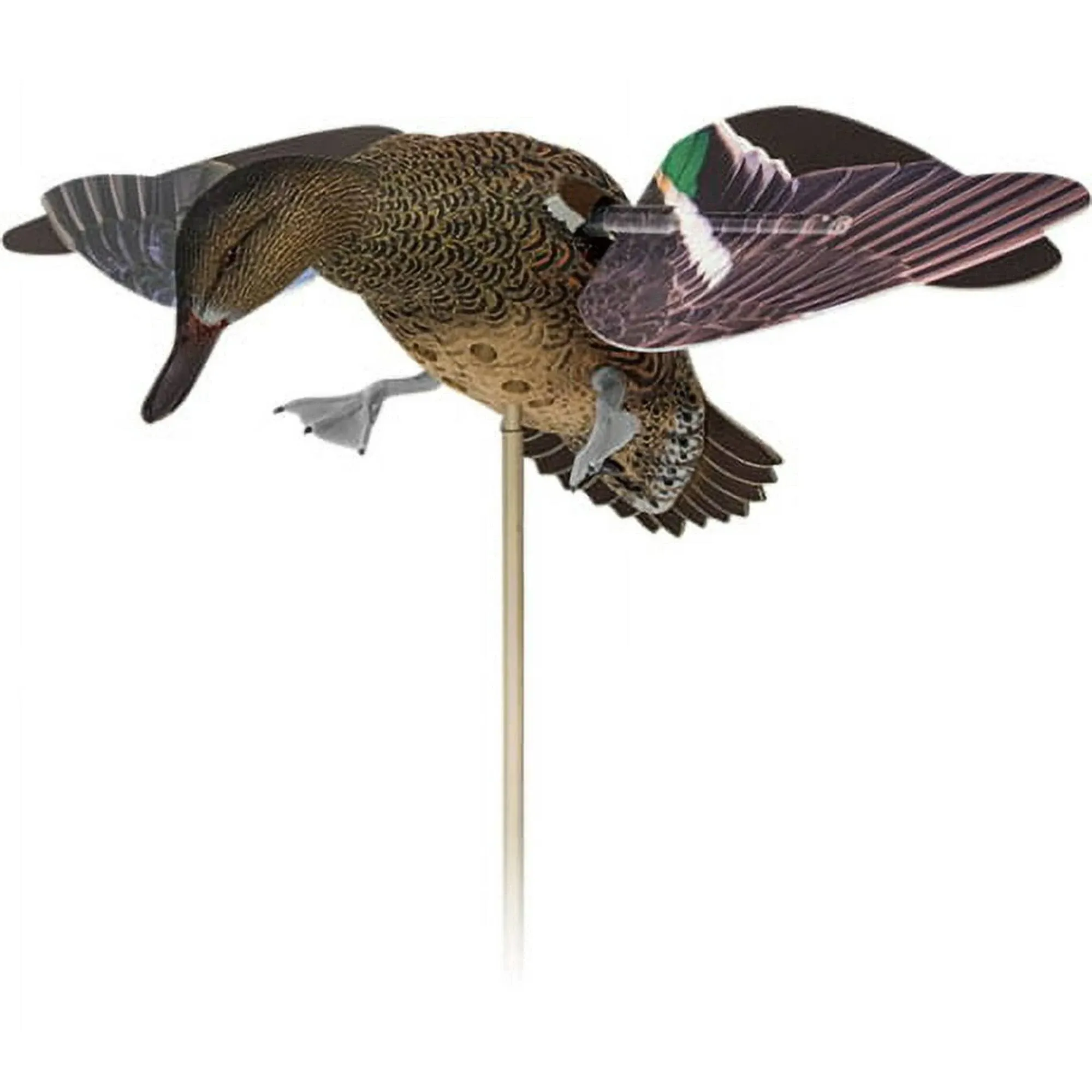 Avian X Powerflight Hen Decoy Green-Winged Teal - AVX-PFLHT