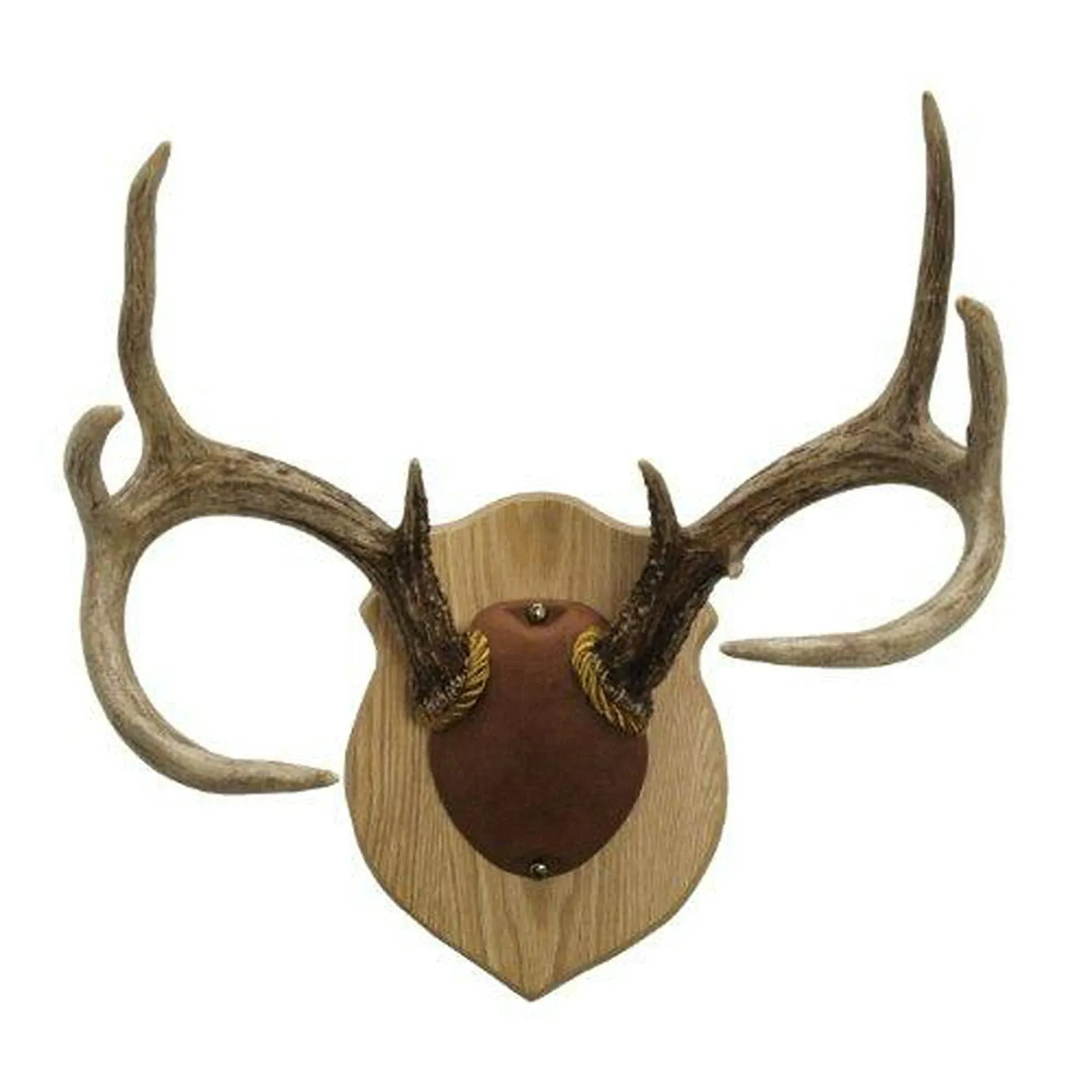 Walnut Hollow Country Antler Mount & Display Kit, Oak , Brown