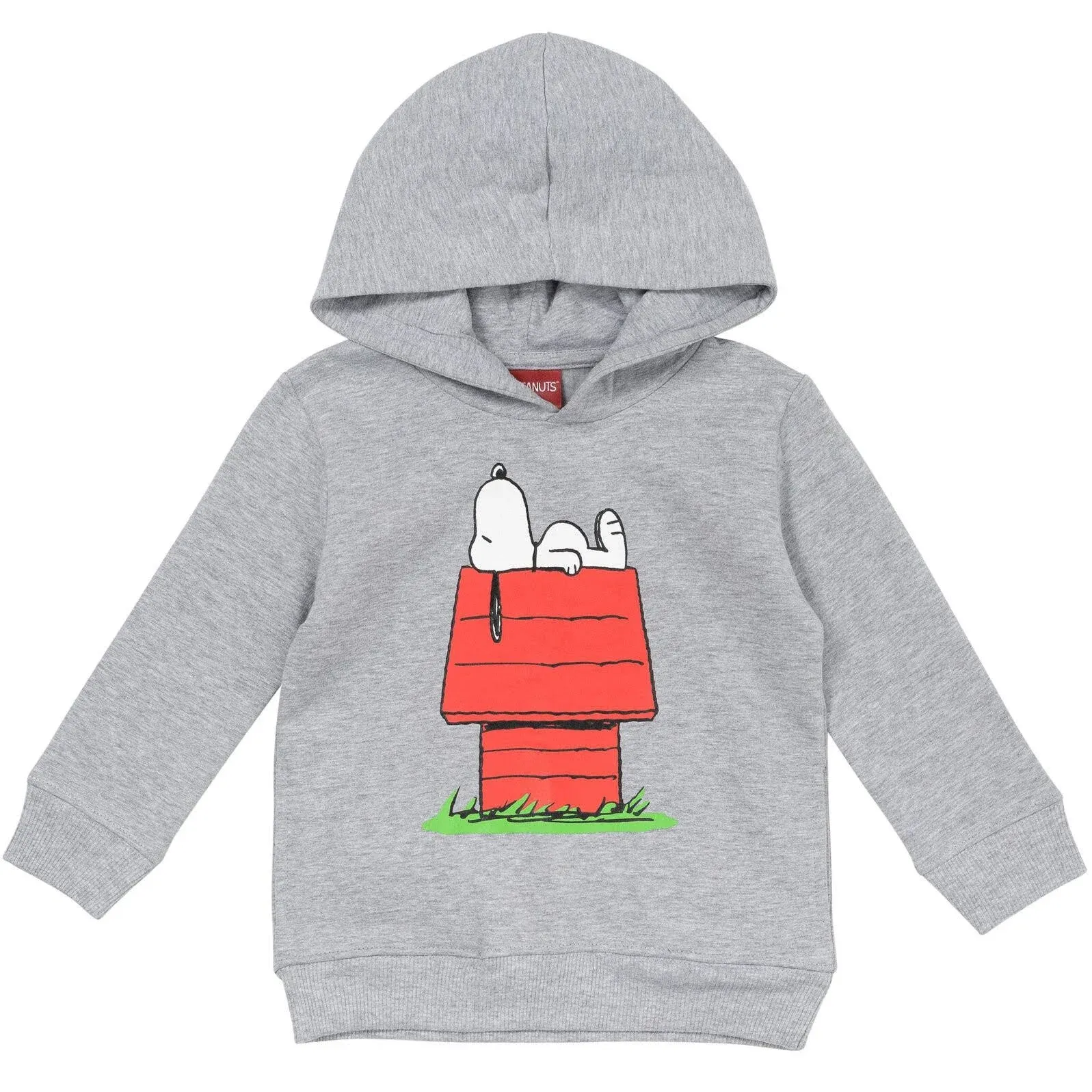 Peanuts Toddler Boys Snoopy Fleece Pullover Hoodie - Gray